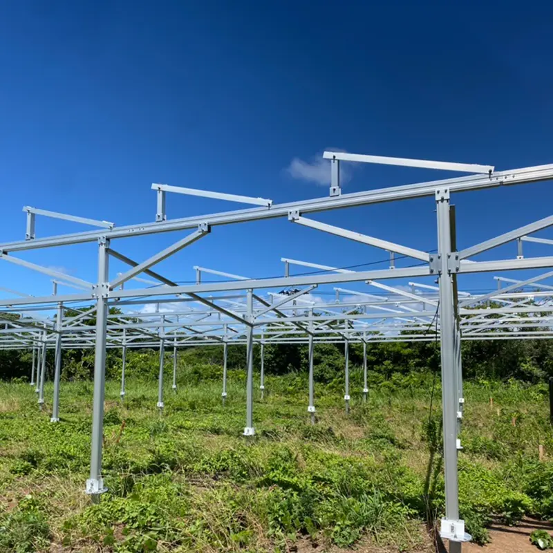 Solar Farms: Hinaharap na Bituin ng Green Energy