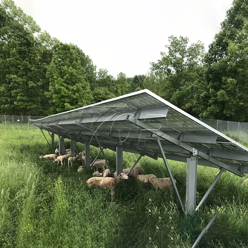 Mga panel ng solar para sa bukid: Pagtulong sa pagpapanatili ng enerhiya ng agrikultura sa isang mas mataas na antas!